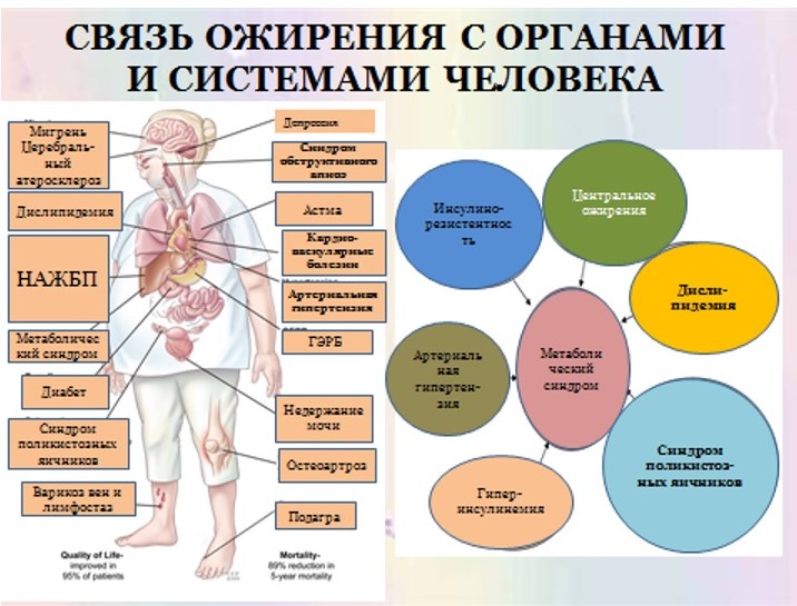 Лишний Вес И Печень Связь