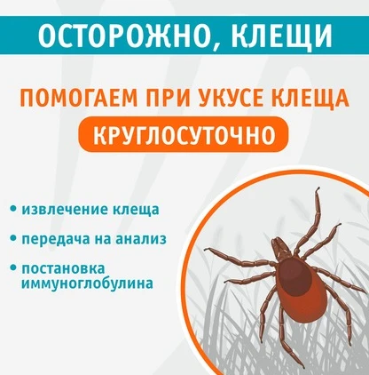 Оказываем помощь при укусе клеща 24/7