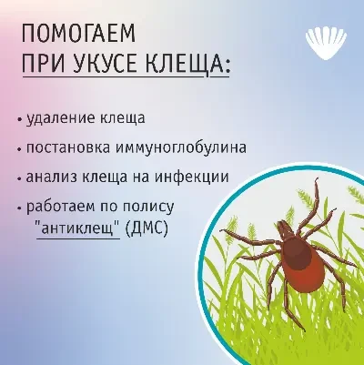 Медицинский центр «ЛОТОС» работает по полису «Антиклещ»