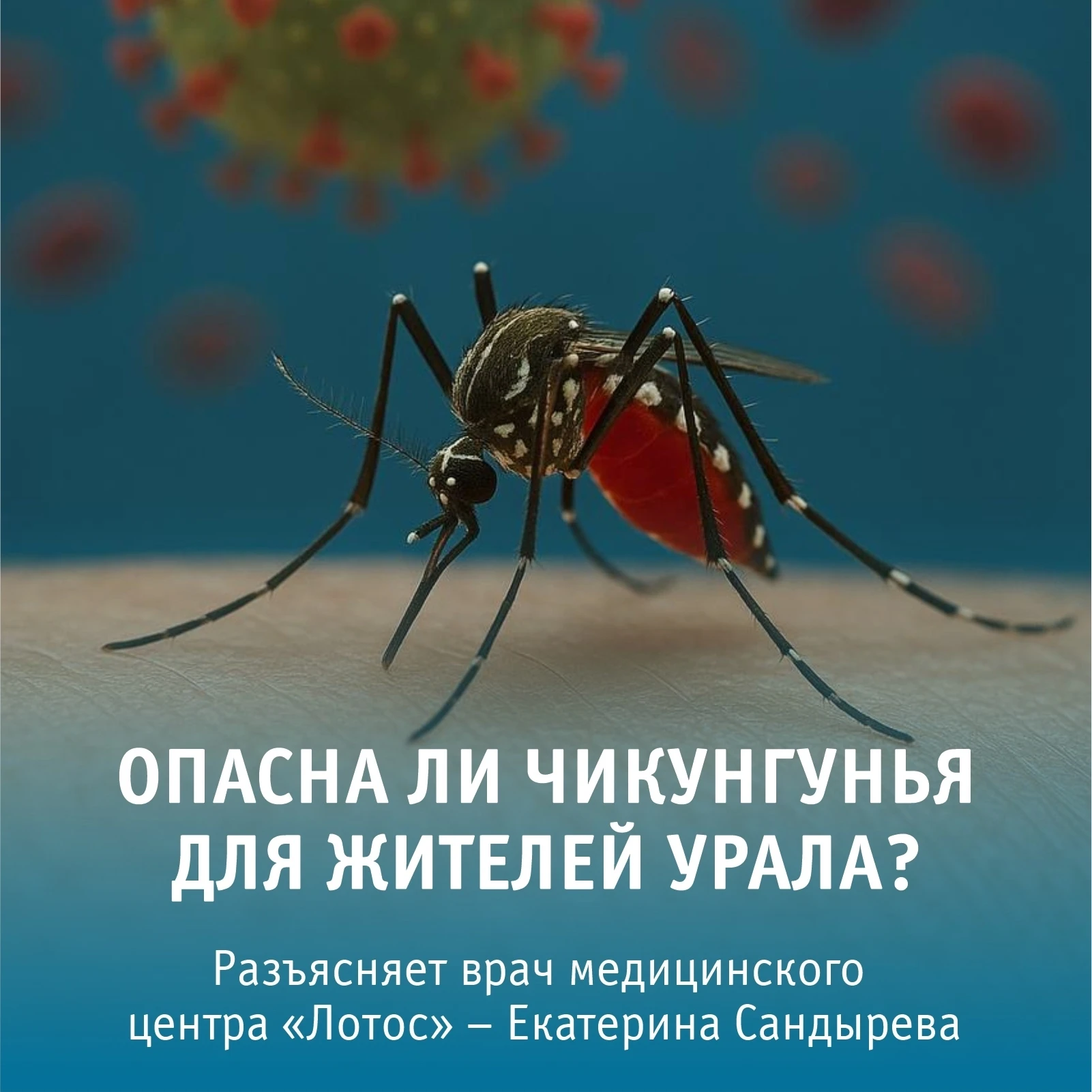 В Челябинске нет угрозы распространения лихорадки чикунгунья — комментарий врача инфекциониста