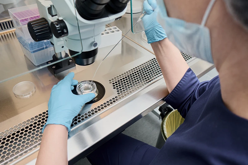 ЭКО: это что за процедура и как проходит 