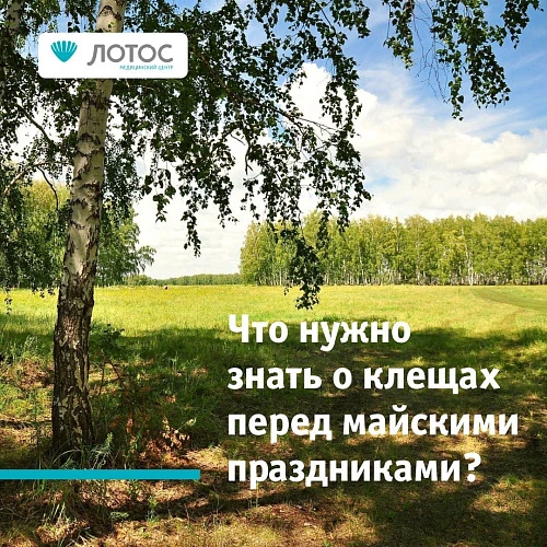 Что нужно знать о клещах перед майскими праздниками?