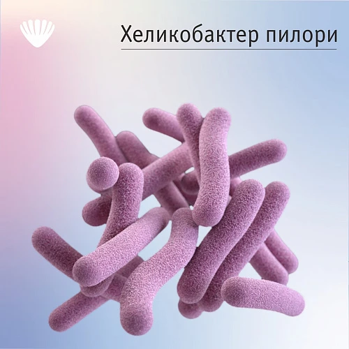 Нужно ли лечить хеликобактер пилори?