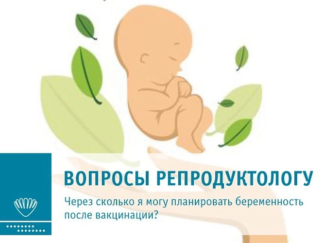 Вопросы заведующей отделением ВРТ - Пашкиной Наталье Валентиновне.