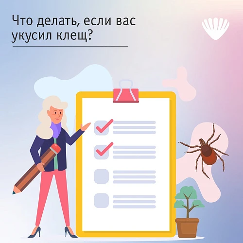 Что делать, если Вас укусил клещ?
