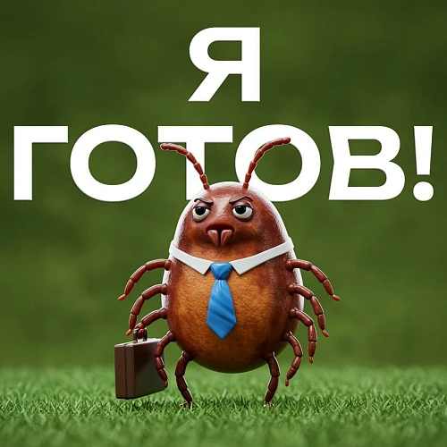 Внимание: сезон клещей в разгаре!