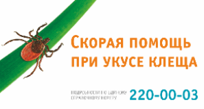 Что делать, если укусил клещ Что делать, если укусил клещ