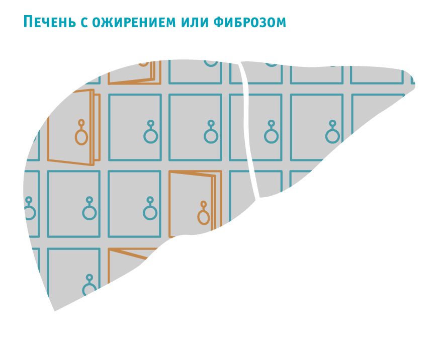 ЦЛСДиКВ иллюстрация для сайта 0701-01.jpg